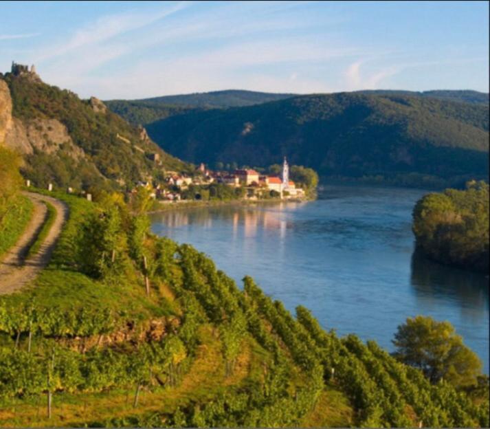 Pension Artstetten Екстер'єр фото
